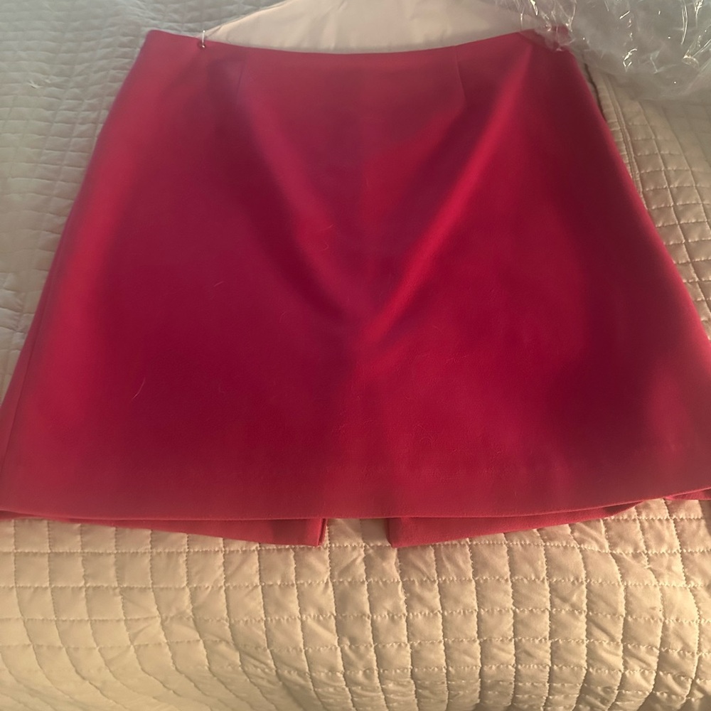 Elegant pink Women's Skirt, size 16. Fresh from the cleaners.  Fully lined.
